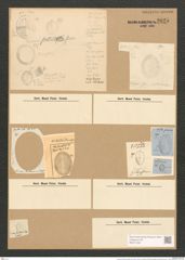 Cocconeis britannica Naeg. (de-Toni-Nr.: Genus 40, Species 1836) Zeichnungen Sammlung Grunow Nr. 3625 (NHMW-BOT-W0371230)
